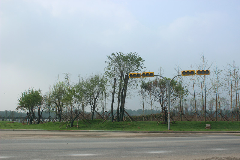 齊河縣黃河國際生態城G309景觀綠化工程施工一標段