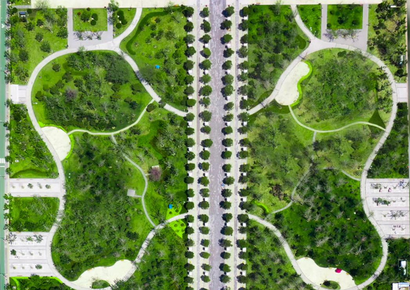 泰安市岱廟文化廣場中心區綠化工程